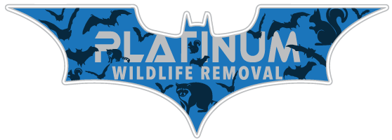 Wildlife Removal Mundy